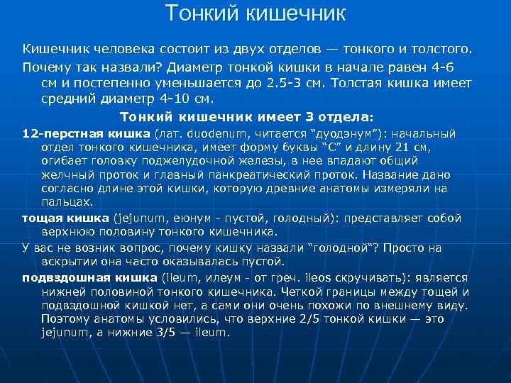 Тонкий кишечник Кишечник человека состоит из двух отделов — тонкого и толстого. Почему так