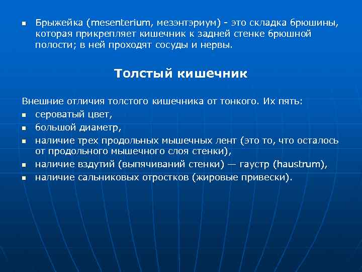 n Брыжейка (mesenterium, мезэнтэриум) это складка брюшины, которая прикрепляет кишечник к задней стенке брюшной