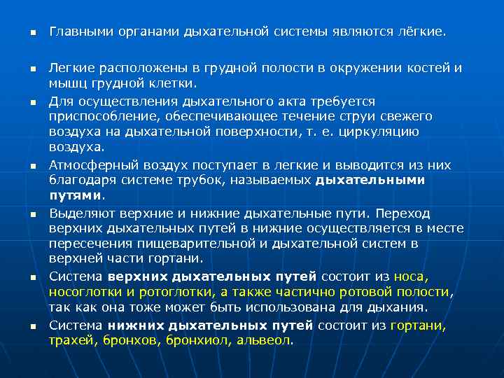 n n n n Главными органами дыхательной системы являются лёгкие. Легкие расположены в грудной