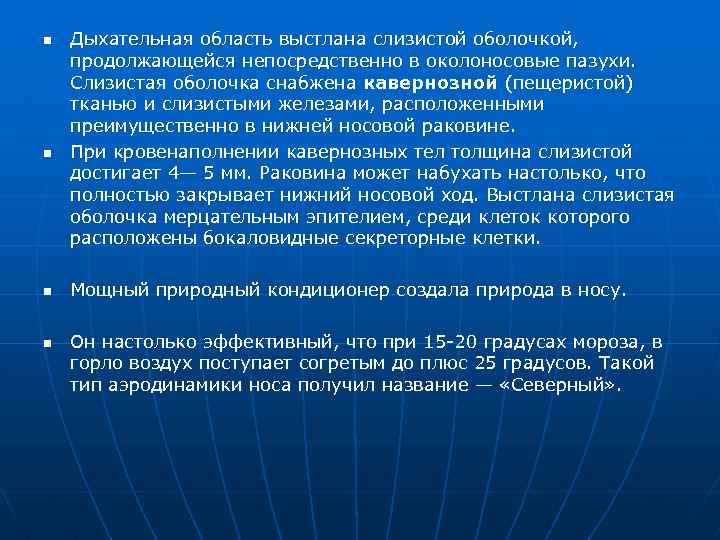 n n Дыхательная область выстлана слизистой оболочкой, продолжающейся непосредственно в околоносовые пазухи. Слизистая оболочка