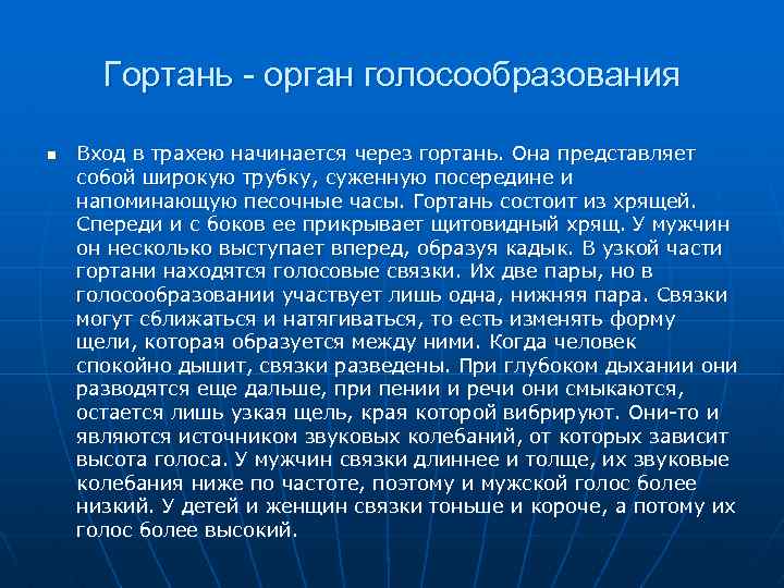 В голосообразовании участвует