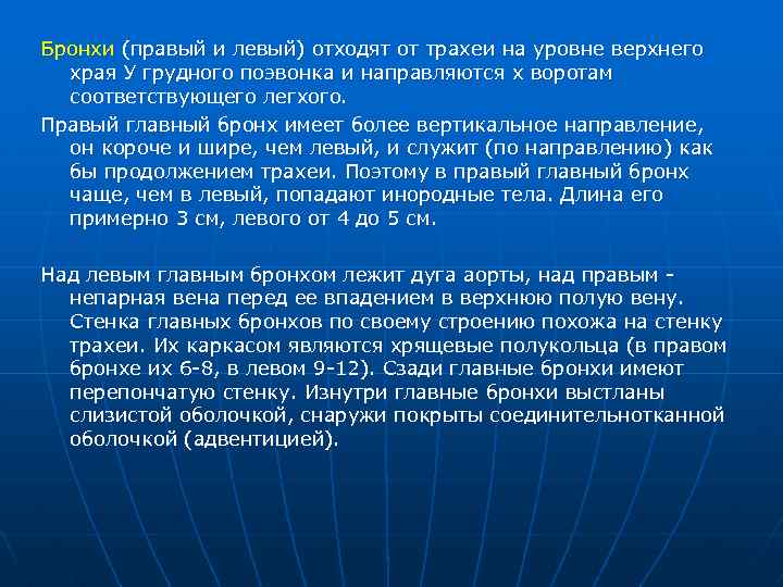 Бронхи (правый и левый) отходят от трахеи на уровне верхнего храя У грудного поэвонка