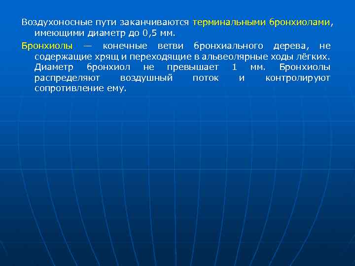 Воздухоносные пути заканчиваются терминальными бронхиолами, имеющими диаметр до 0, 5 мм. Бронхиолы — конечные
