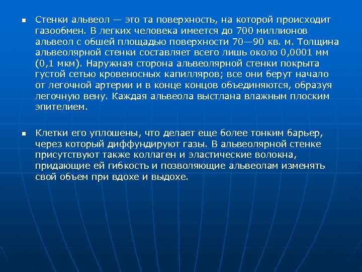 n n Стенки альвеол — это та поверхность, на которой происходит газообмен. В легких