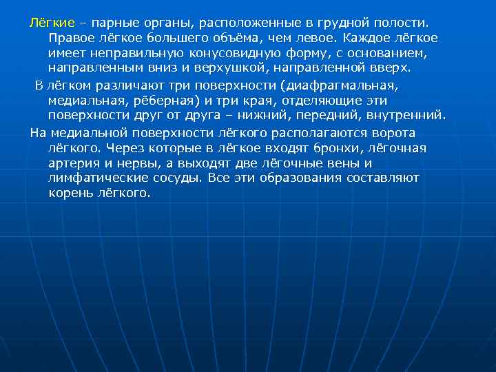 Лёгкие – парные органы, расположенные в грудной полости. Правое лёгкое большего объёма, чем левое.