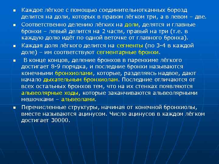 n n n Каждое лёгкое с помощью соединительнотканных борозд делится на доли, которых в