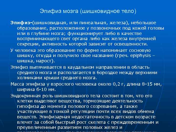 Эпифиз мозга (шишковидное тело) Эпифиз-(шишковидная, или пинеальная, железа), небольшое образование, расположенное у позвоночных под
