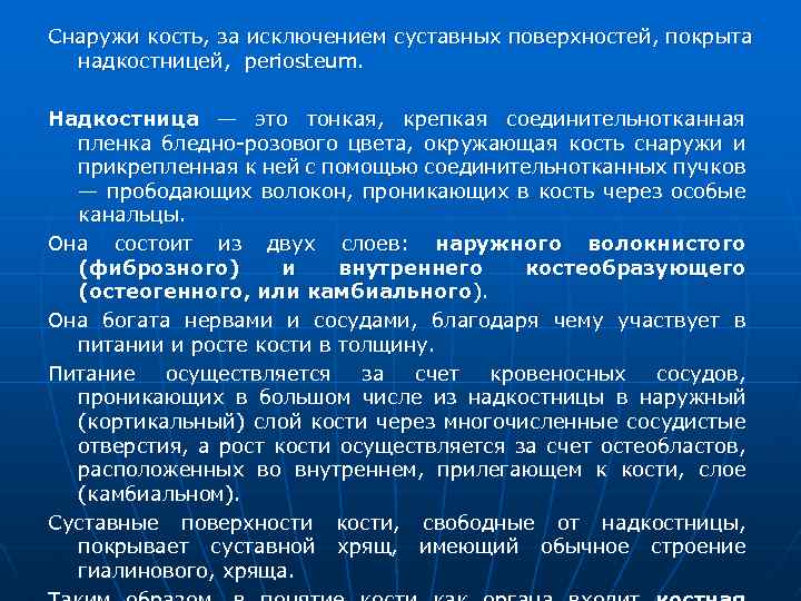 Снаружи кость, за исключением суставных поверхностей, покрыта надкостницей, periosteum. Надкостница — это тонкая, крепкая