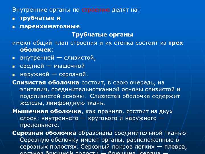 Внутренние органы по строению делят на: n трубчатые и n паренхиматозные. Трубчатые органы имеют
