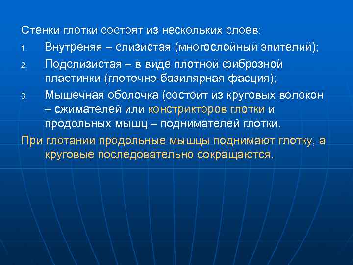 Стенки глотки состоят из нескольких слоев: 1. Внутреняя – слизистая (многослойный эпителий); 2. Подслизистая