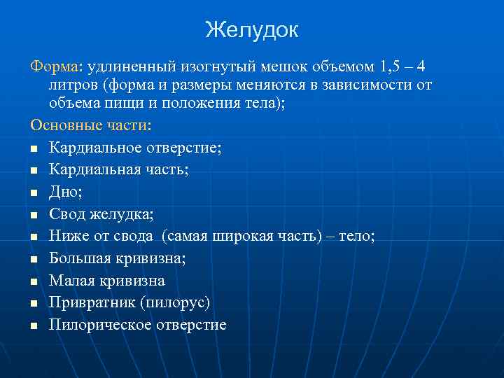 Желудок Форма: удлиненный изогнутый мешок объемом 1, 5 – 4 литров (форма и размеры