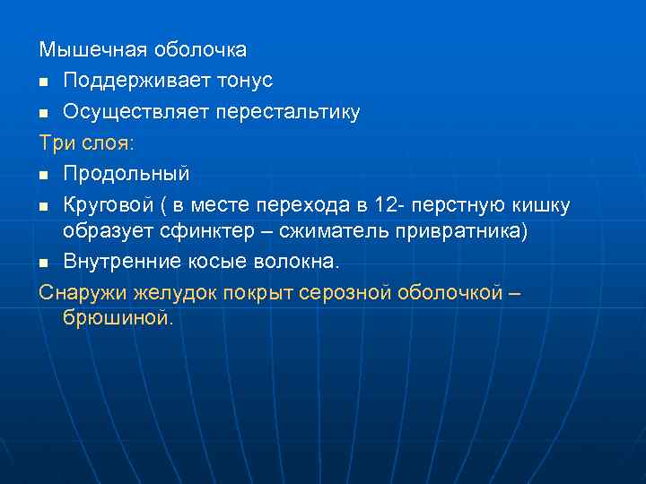 Мышечная оболочка n Поддерживает тонус n Осуществляет перестальтику Три слоя: n Продольный n Круговой
