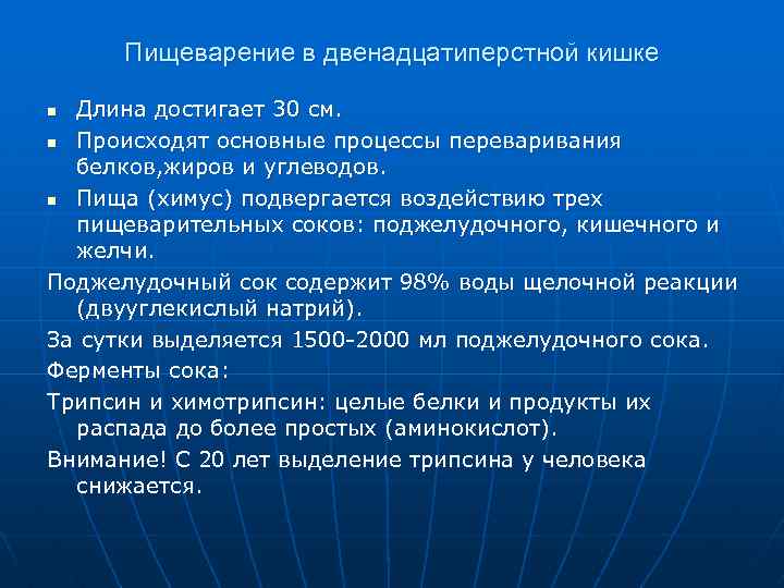 Пищеварение в двенадцатиперстной кишке Длина достигает 30 см. n Происходят основные процессы переваривания белков,
