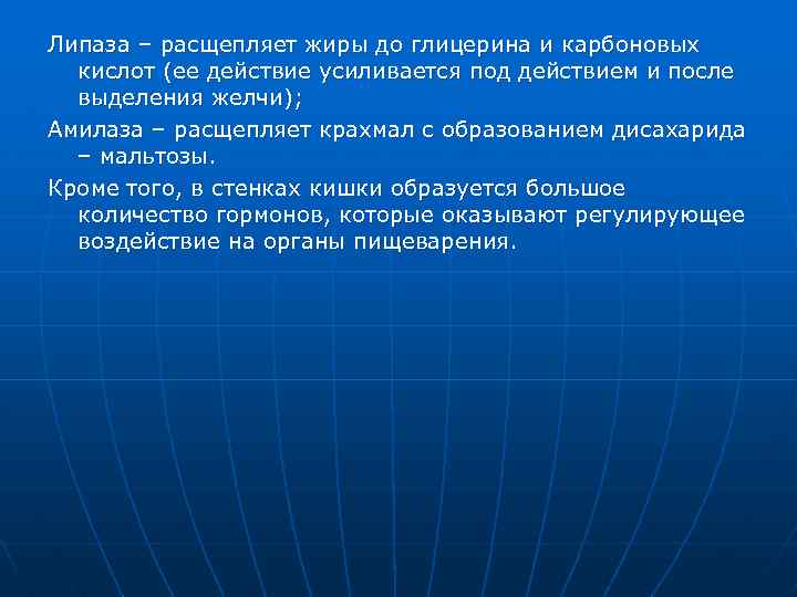 Липаза – расщепляет жиры до глицерина и карбоновых кислот (ее действие усиливается под действием