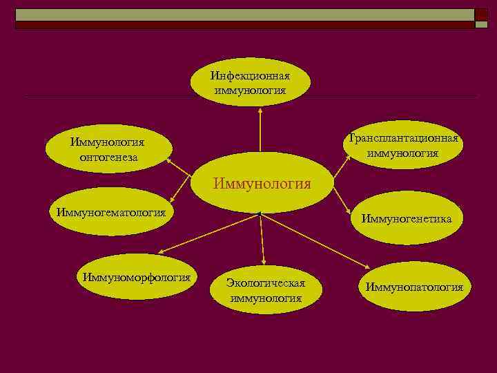 Инфекционная иммунология Трансплантационная иммунология Иммунология онтогенеза Иммунология Иммуногематология Иммуноморфология Иммуногенетика Экологическая иммунология Иммунопатология 