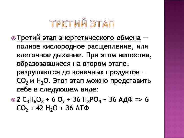 Молекулярные процессы расщепления презентация 11 класс