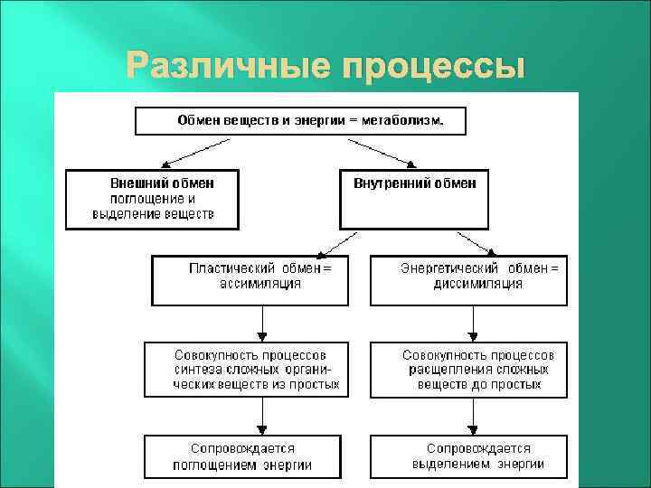 Различные процессы 