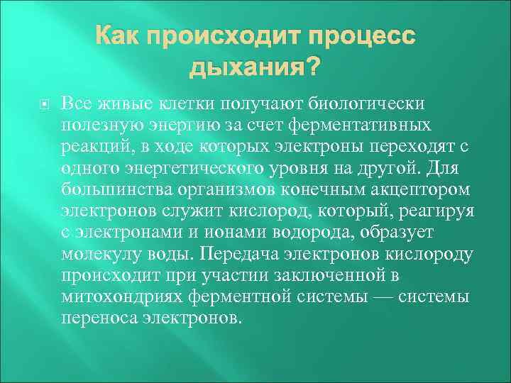 Как происходит процесс дыхания? Все живые клетки получают биологически полезную энергию за счет ферментативных
