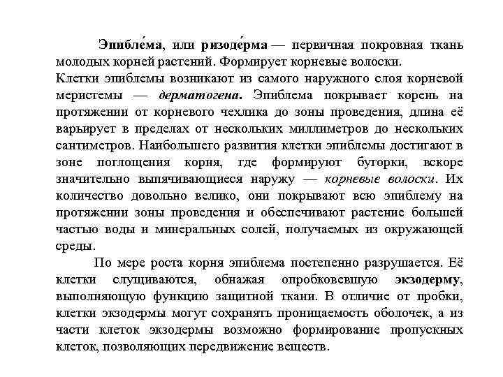  Эпибле ма, или ризоде рма — первичная покровная ткань молодых корней растений. Формирует