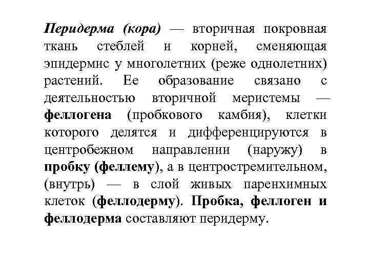 Перидерма (кора) — вторичная покровная ткань стеблей и корней, сменяющая эпидермис у многолетних (реже