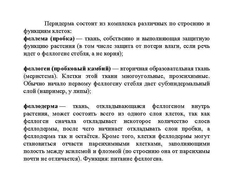  Перидерма состоит из комплекса различных по строению и функциям клеток: феллема (пробка) —