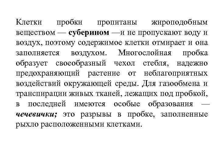 Клетки пробки пропитаны жироподобным веществом — суберином —и не пропускают воду и воздух, поэтому