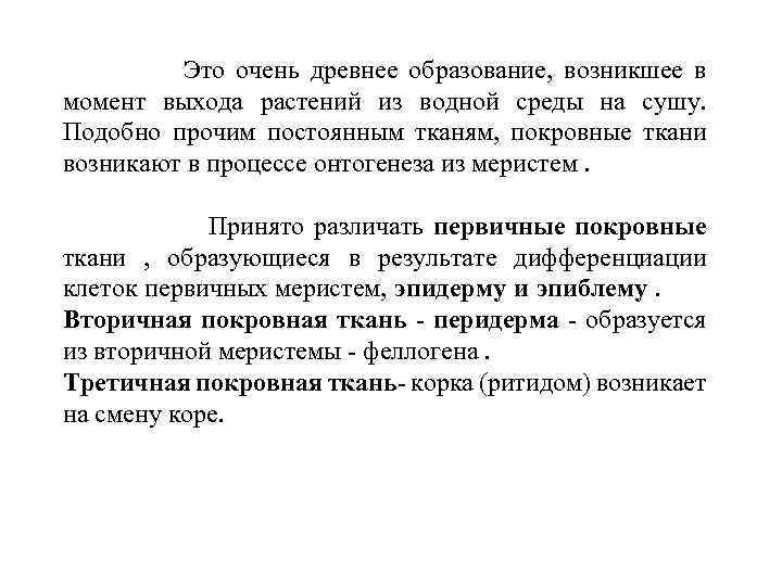  Это очень древнее образование, возникшее в момент выхода растений из водной среды на
