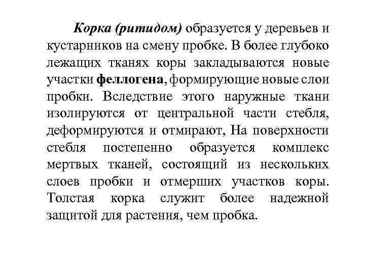 Корка (ритидом) образуется у деревьев и кустарников на смену пробке. В более глубоко лежащих