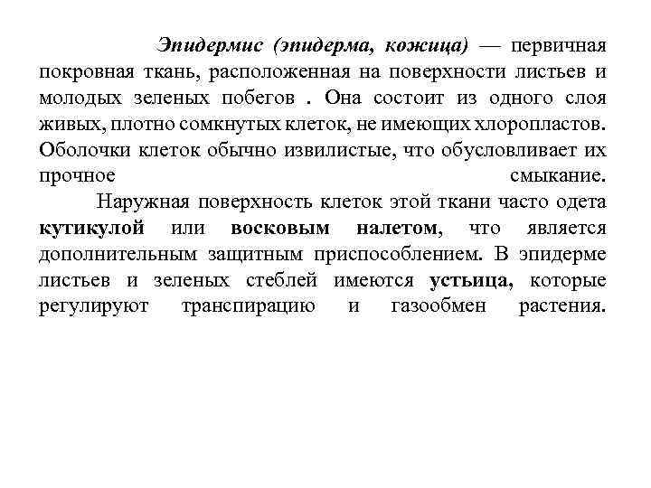 Эпидермис (эпидерма, кожица) — первичная покровная ткань, расположенная на поверхности листьев и молодых зеленых