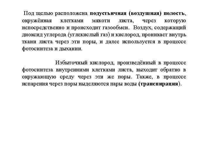 Под щелью расположена подустьичная (воздушная) полость, окружённая клетками мякоти листа, через которую непосредственно и