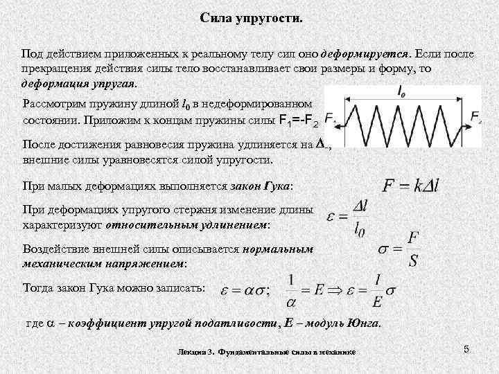 Сила упругости. Под действием приложенных к реальному телу сил оно деформируется. Если после прекращения