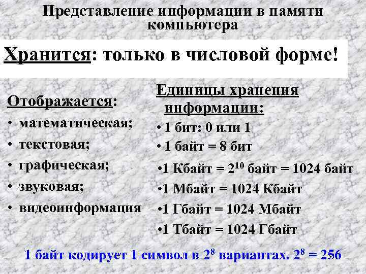 Представление информации в памяти компьютера Хранится: только в числовой форме! Отображается: • • •