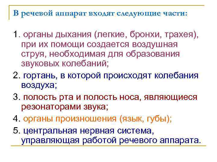 В речевой аппарат входят следующие части: 1. органы дыхания (легкие, бронхи, трахея), при их