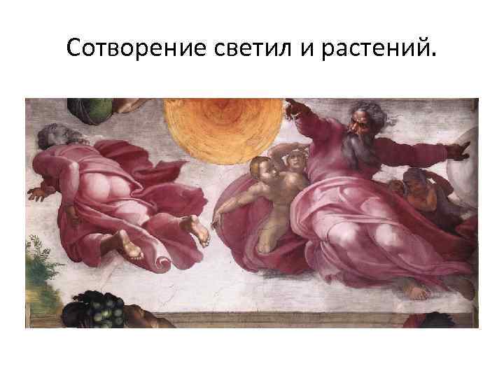 Сотворение светил и растений. 