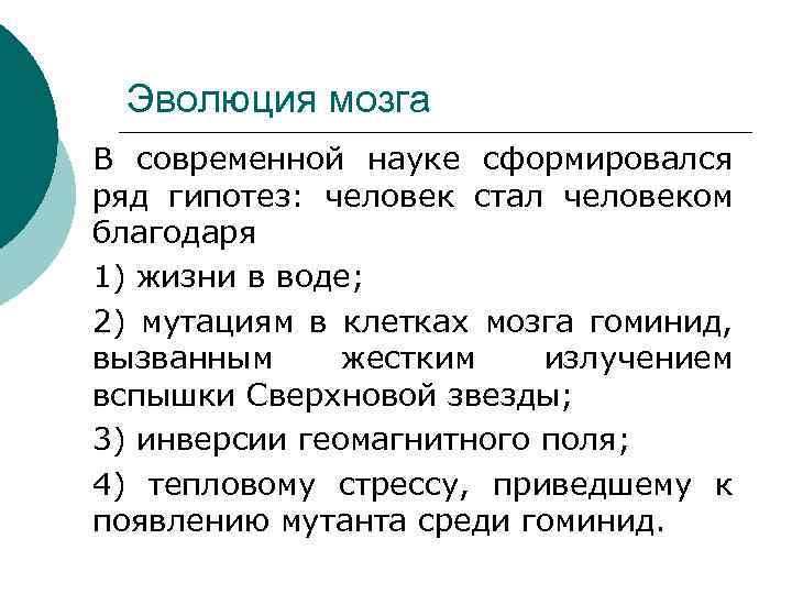 Эволюция мозга В современной науке сформировался ряд гипотез: человек стал человеком благодаря 1) жизни