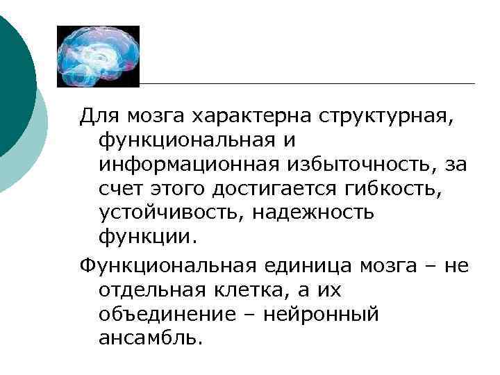 Мозг Для мозга характерна структурная, функциональная и информационная избыточность, за счет этого достигается гибкость,