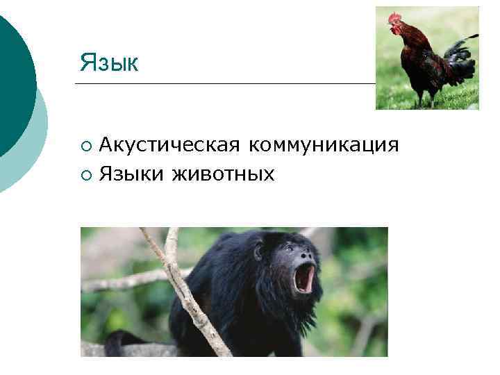 Язык Акустическая коммуникация ¡ Языки животных ¡ 