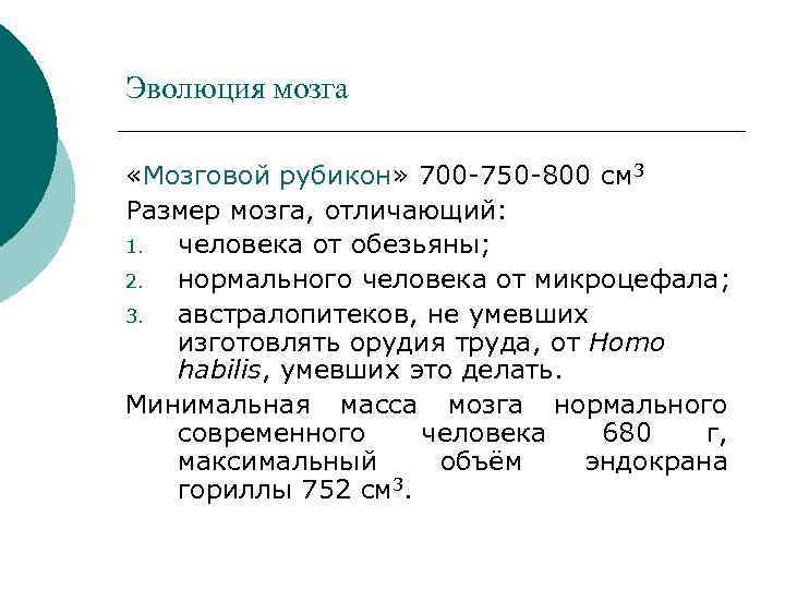 Эволюция мозга «Мозговой рубикон» 700 -750 -800 см 3 Размер мозга, отличающий: 1. человека