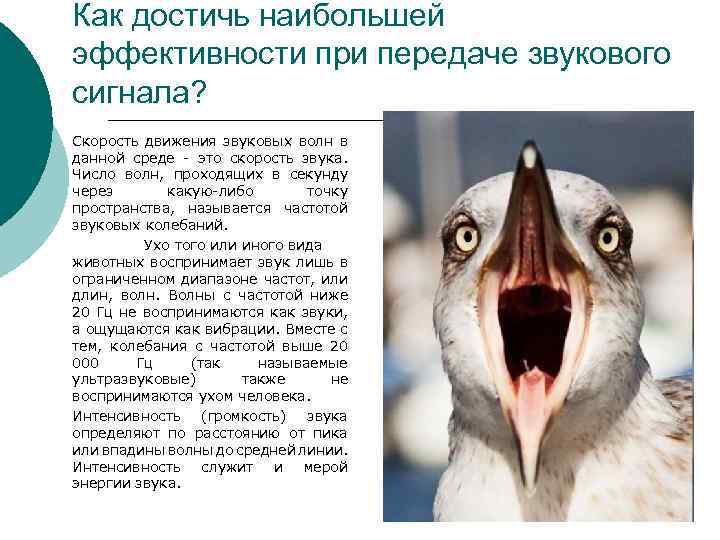 Как достичь наибольшей эффективности при передаче звукового сигнала? Скорость движения звуковых волн в данной