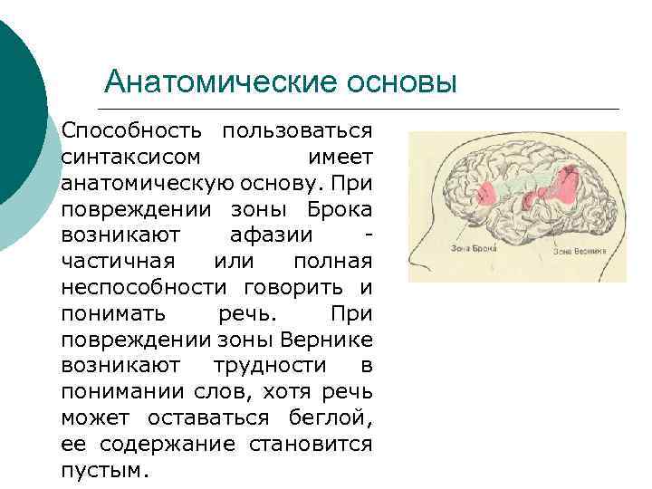 Анатомические основы Способность пользоваться синтаксисом имеет анатомическую основу. При повреждении зоны Брока возникают афазии