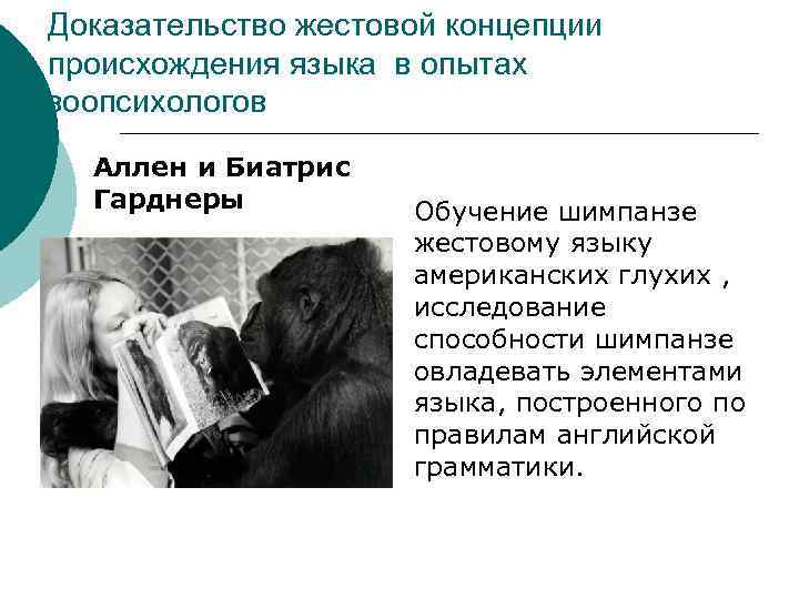 Доказательство жестовой концепции происхождения языка в опытах зоопсихологов Аллен и Биатрис Гарднеры Обучение шимпанзе