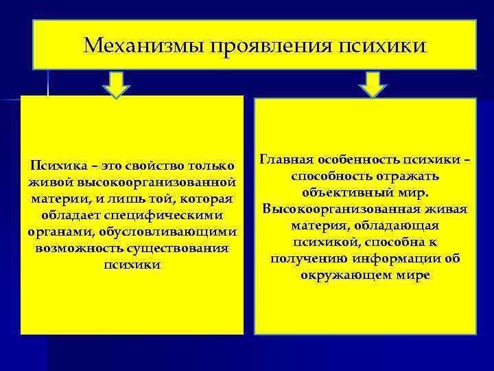 Механизмы проявления психики Психика – это свойство только живой высокоорганизованной материи, и лишь той,