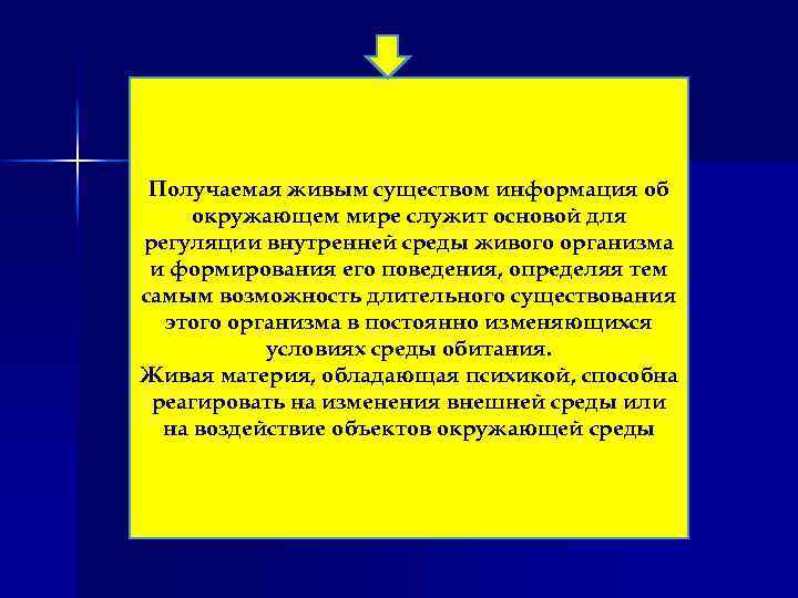 Получаемая живым существом информация об окружающем мире служит основой для регуляции внутренней среды живого