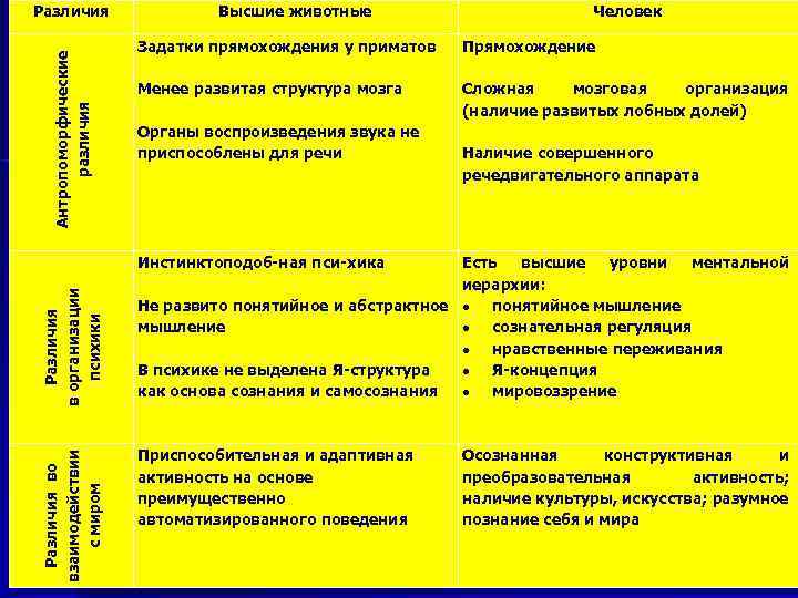  Различия во взаимодействии с миром Различия в организации психики Антропоморфические различия Различия Высшие