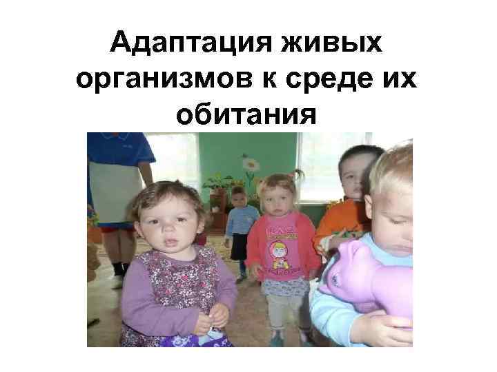 Адаптация живых организмов к среде их обитания 