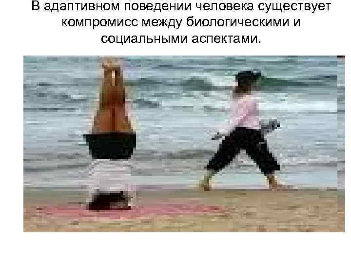 В адаптивном поведении человека существует компромисс между биологическими и социальными аспектами. 