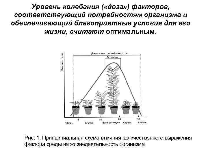 Уровень колебания ( «доза» ) факторов, соответствующий потребностям организма и обеспечивающий благоприятные условия для