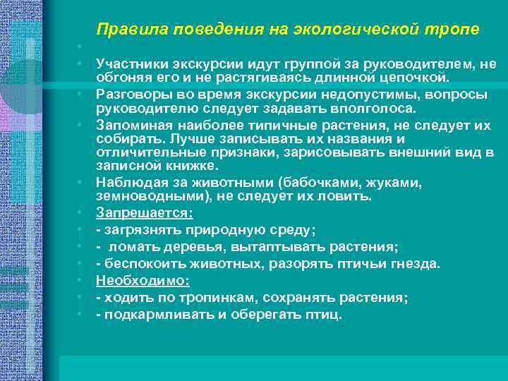 Правила поведения на экологической тропе • • Участники экскурсии идут группой за руководителем, не