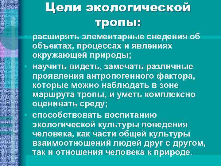 Прохождение экологической тропы подготовительная группа презентация