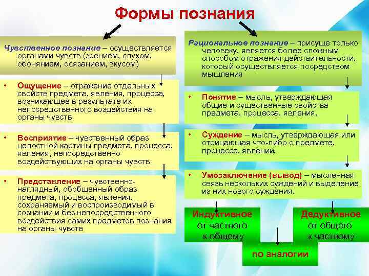 Формы познания Чувственное познание – осуществляется органами чувств (зрением, слухом, обонянием, осязанием, вкусом) •